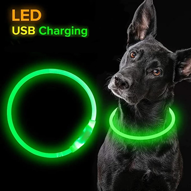 Collar Led Usb para perro, Accesorio luminoso de carga nocturna, seguridad nocturna, brillo intermitente, prevención de pérdida