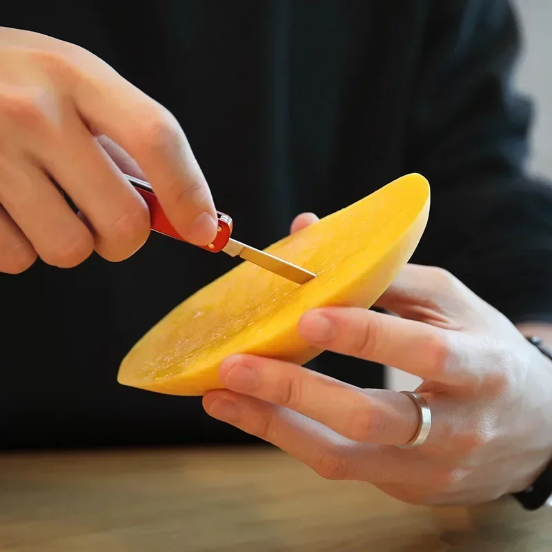 EDC Mini Messer Multitool Klapp Schere Schraubendreher Taschenmesser Tragbare Outdoor Cutter Mehrzweck Reparatur Werkzeuge