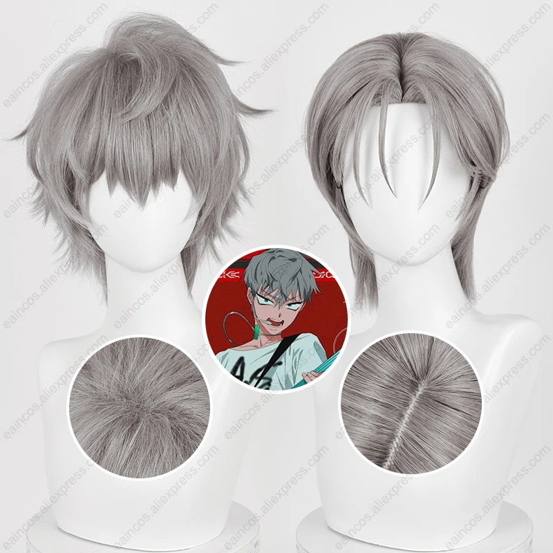 Till Cosplay Wig 30cm Grey Short Hair Heat Resistant Synthetic Wigs