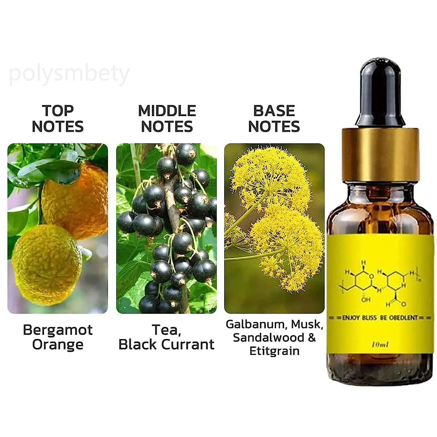 남자를위한 페로몬 에센셜 오일은 여성을 유치합니다 오래 지속되는 Androstenone 향수 바디 에센셜 성적으로 자극하는 페로몬