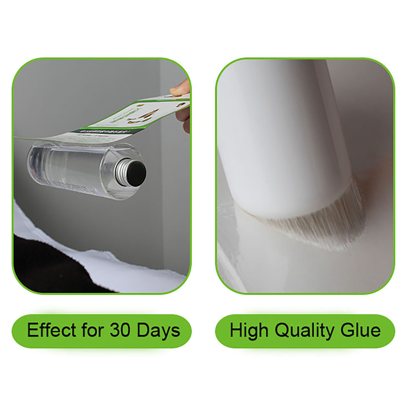 6/12/50PCS เสื้อผ้า Pantry อาหารฟีโรโมน Killer วางกาวเหนียวดัก Pest ปฏิเสธ Fly Moth ครอบครัวโรงงานร้านอาหาร