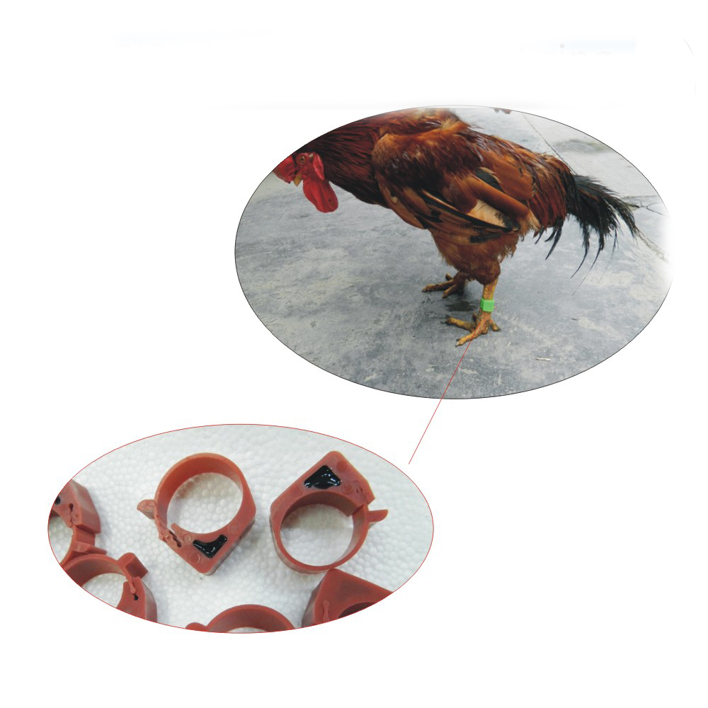 10 Stks/partij 125-134.2Khz Rfid Chip Kaart Kip Footstags/Eend Ring Tag/Kip Voet Rfid Tags