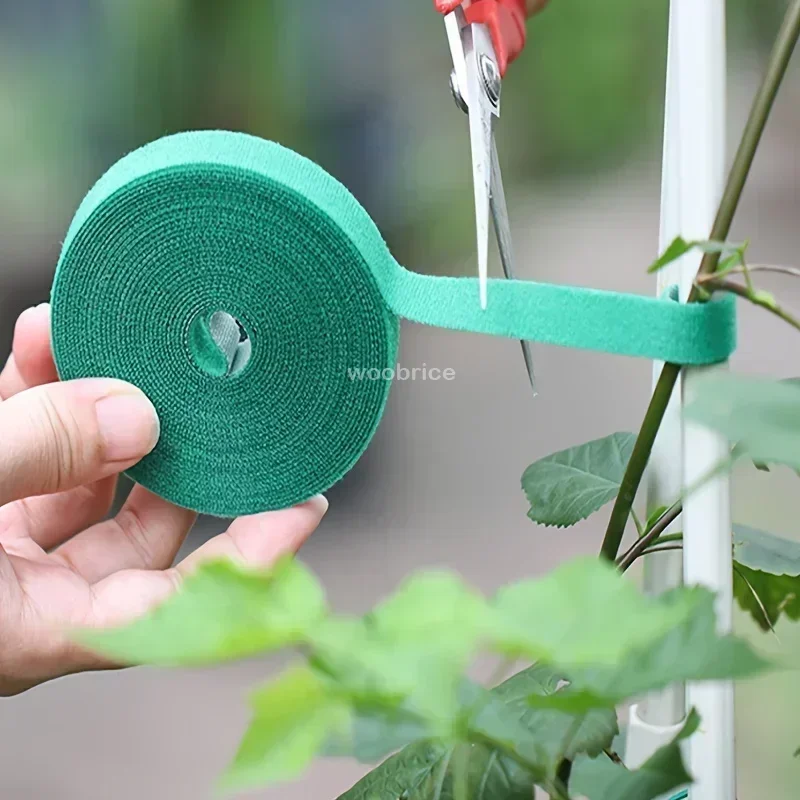 Bandes de ruban de fixation réutilisables pour plantes, auto-adhésif, câble en nylon vert, crochet réglable, support de boucle, ficelle de jardin