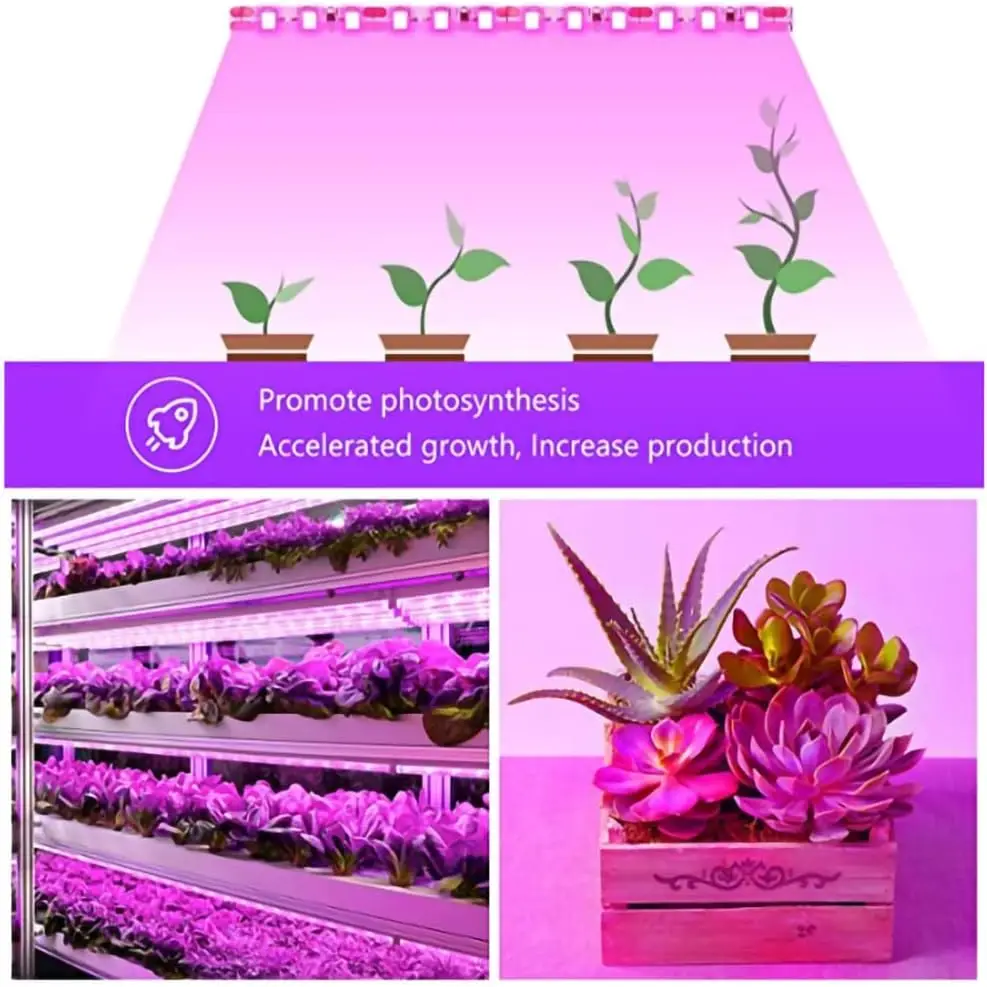 5V 植物ライト成長 LED ストリップ 5V USB LED 1-5 メートルフルスペクトル LED チップ温室花苗成長テントハイドロポン