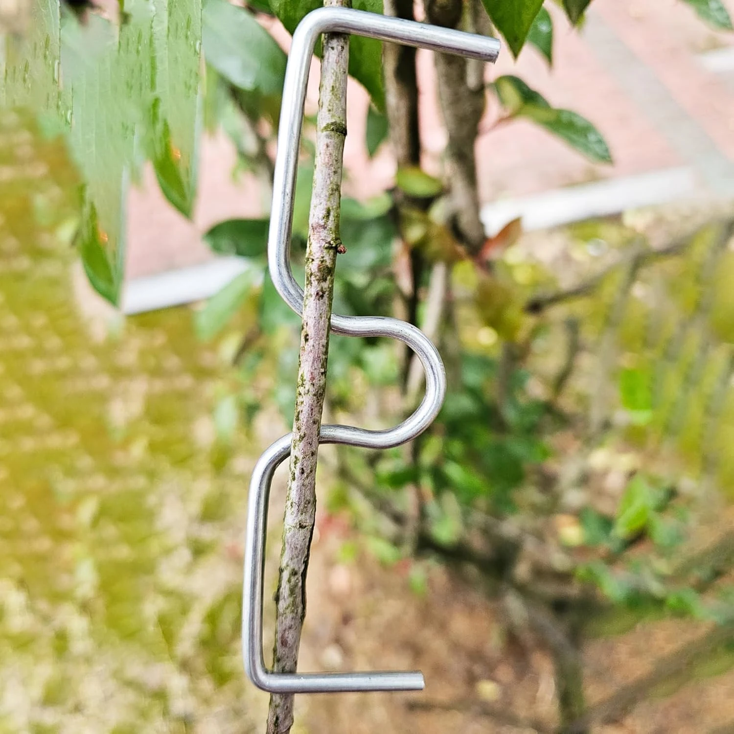 Fruit Tree Branch Shape Fixator Garden Yard Trees Support Holder Plants Vine Trainers M-Shaped Steel Wire Branch Bending Tools