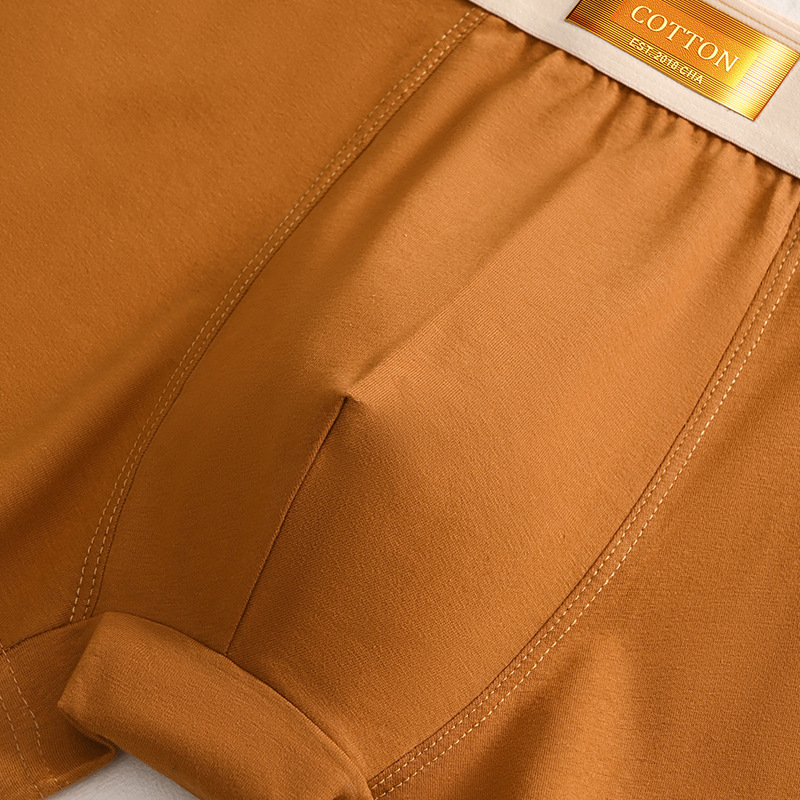 3 pezzi biancheria intima da uomo boxer in cotone hombre mutandine uomo mutande traspiranti sport sexy comfort boxer maschili di grandi dimensioni L-6XL