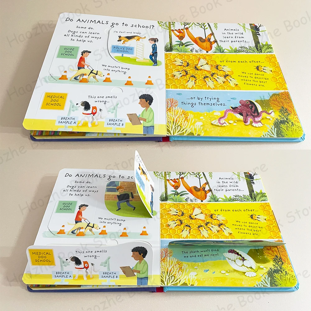 Very First Questions and Answers Why do I have to go to school Usborne Lift the flap Children's Activity English Book Montessori
