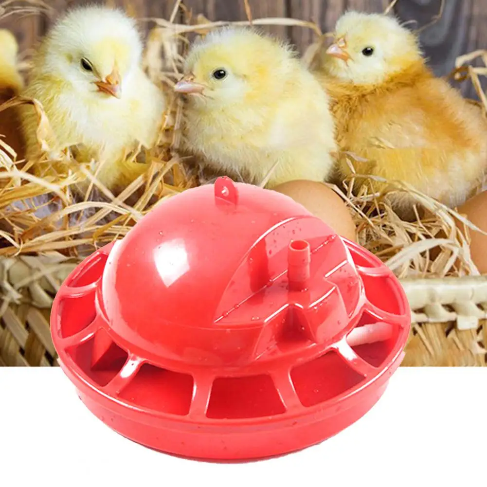 Mangkuk minum hewan ternak anak ayam, penyiram plastik otomatis kapasitas tinggi dapat dilepas untuk memberi makan ayam hewan peliharaan