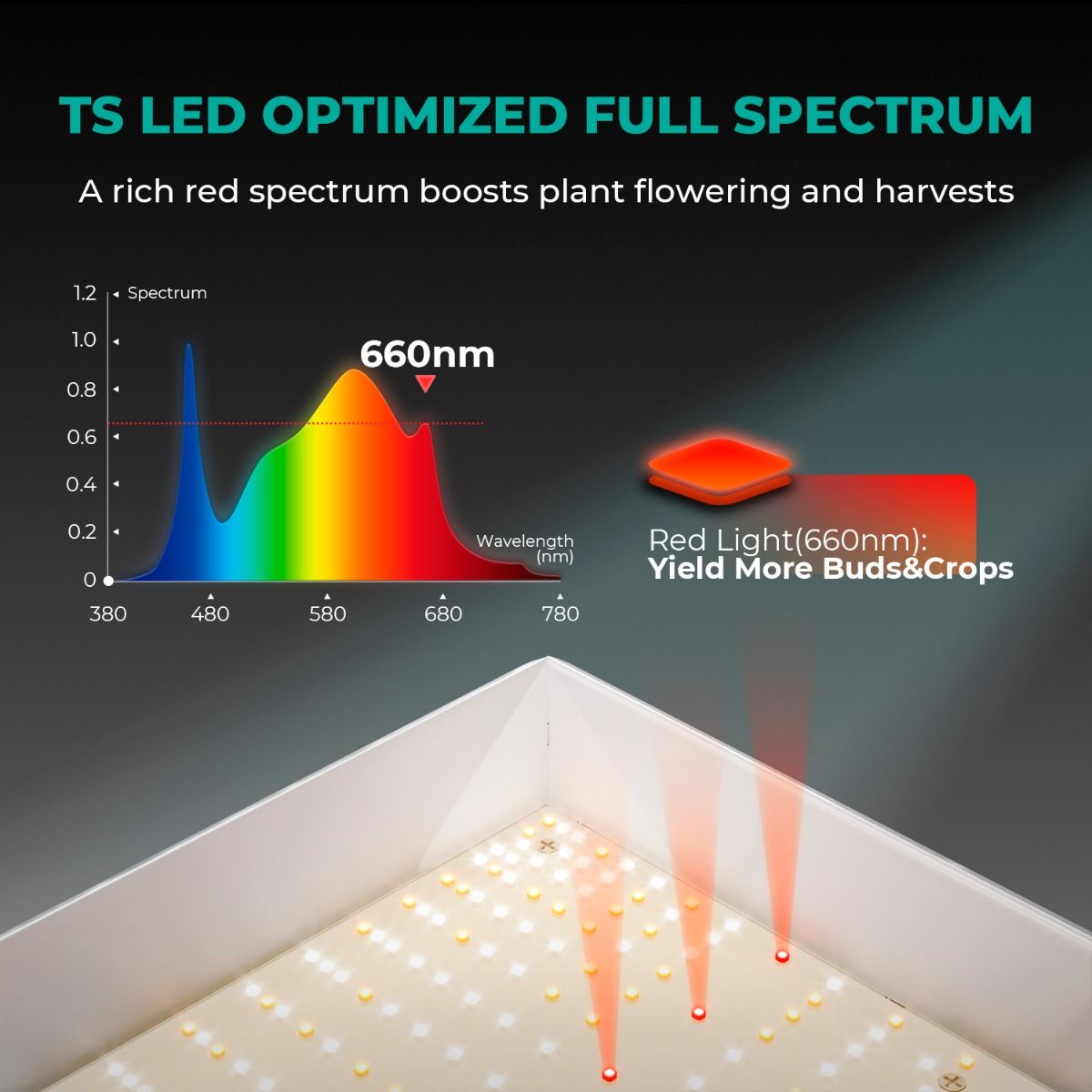 Verbessertes Mars Hydro TS 600 1000 2000 3000 Vollspektrum-LED-Wachstumslicht, sonnenartiges Quantum für Zimmerpflanzen, Gemüse, Blumen, Wachstumszelt