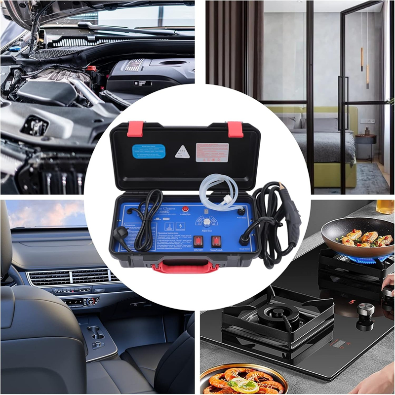 220VCommercial Household 3000W Steam Cleaner Adjusted Function Air Conditioning Kitchen Hood Car Steaming Cleaner Alkaline Clean