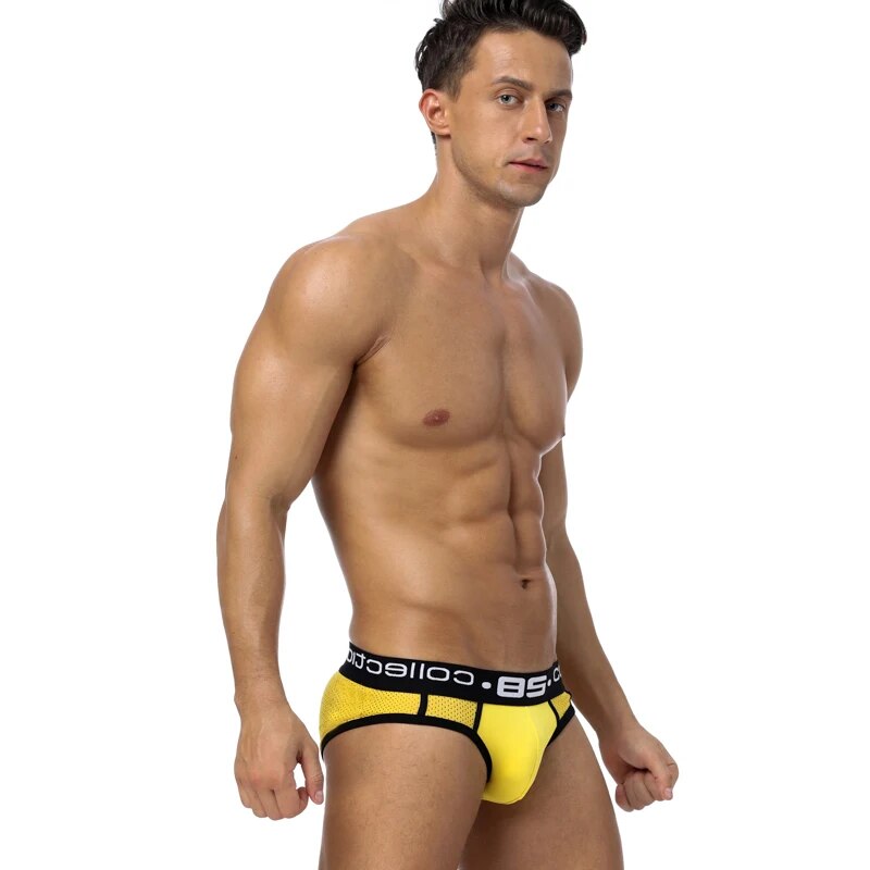 Clearance_Brand 0850 Men Underwear Mesh Qucik-Dry Sexy Men Briefs Breathable Mens Slip Cueca Male Panties Underpants Briefs BS10