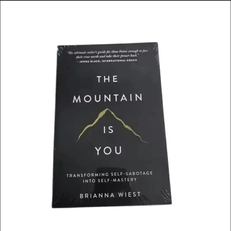 The Mountain Is You: Transforming Self-Sabotage in Self-Mastery Englisch Bücher Geburtstagsgeschenke