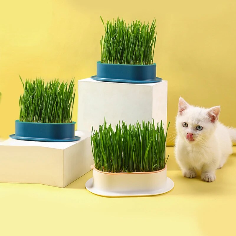 ใหม่สัตว์เลี้ยงแมว Sprout จานปลูกหม้อพืช Hydroponic แมวหญ้าการงอกการย่อยอาหาร Starter จานเรือนกระจก Grow กล่อง