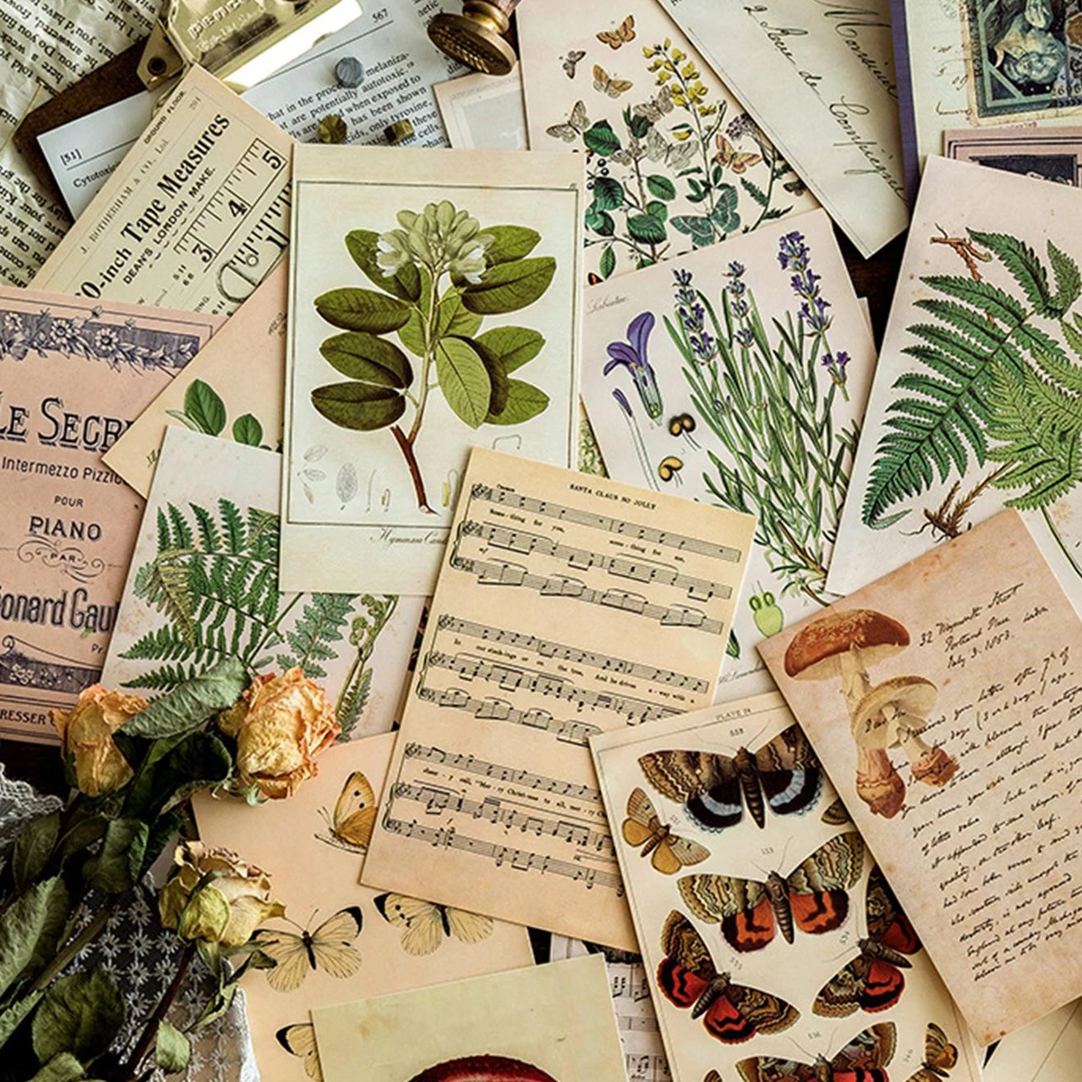 30pcs Retro Ancient Forest Animals Plants Specimen Postcard Vintage Writable Greeting Postcards,Wall Collage Kit Home Decoration
