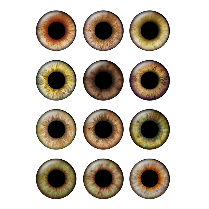 12 ペア/バッグ 14 ミリメートル目チップブライス人形に適した超薄型瞳孔ガラスカボション DIY アクセサリーバルクアイテム卸売 H214