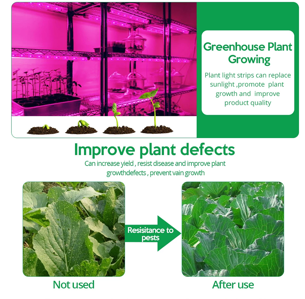 5V USB LED Plant Grow Light Spectrumเต็มPhytoโคมไฟ 1M 2M 3Mสําหรับเมล็ดดอกไม้เรือนกระจกเต็นท์พืชHydroponicแสง