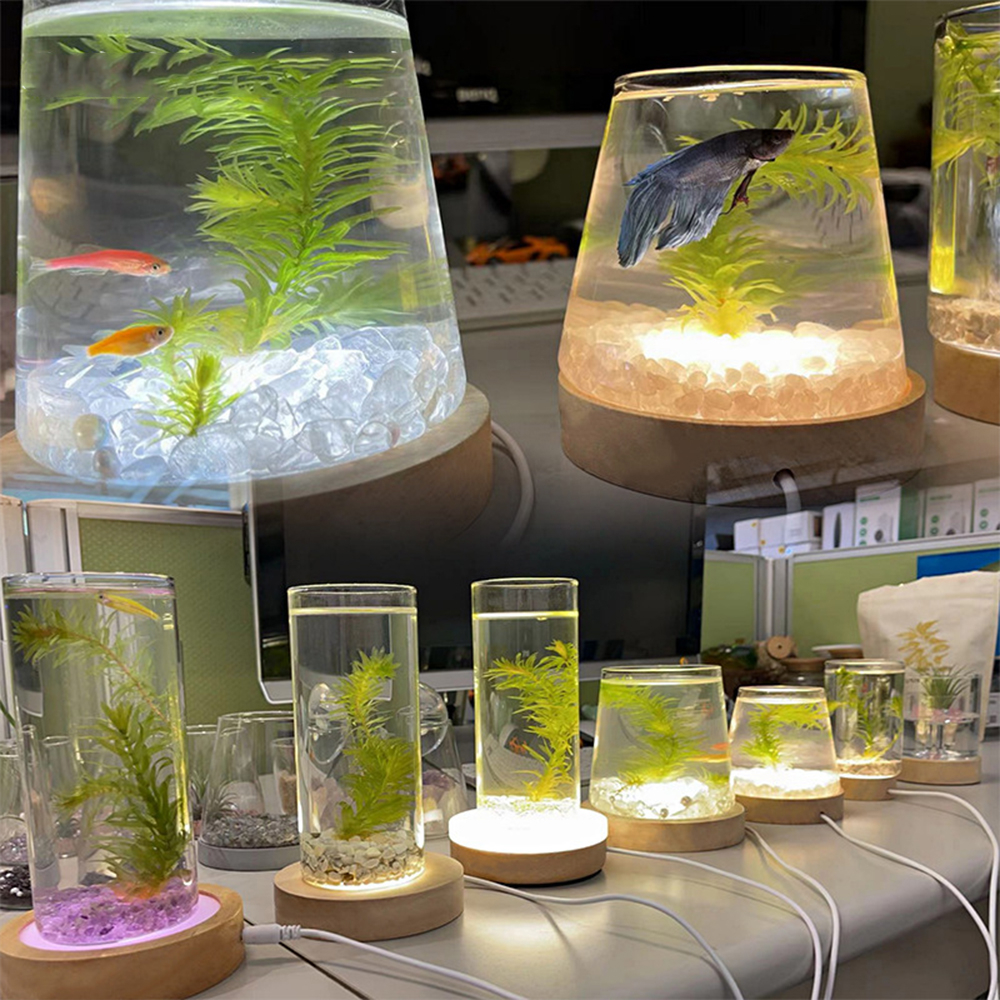 Neue Holz LED Licht Display Basis USB Aufladbare Kristall Glas Harz Kunst Ornament Holz Nacht Lampe Basis Halter Display-ständer