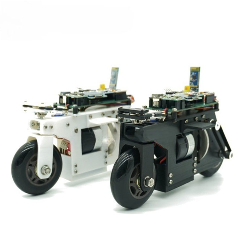 2WD RC Balance Bike Cubli Self-Balancing Flywheel 3D Printing APP Control DC Motor Motorcycle for STM32 Programmable Robot Car