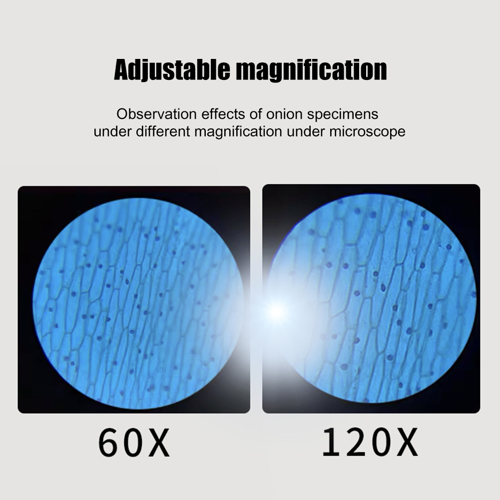 Mini Microscope Kit with LED Light Educational Science Microscope Battery Powered Biological Microscope Kit for Kids Observation