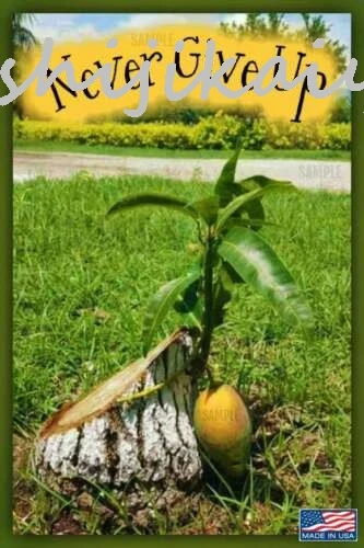 1 bungkus JANGAN PERNAH MENYERAH! TANDA LOGAM USA MADE 8"X12" INSPIRASI HOSPITAL GARDEN SHE SHED
