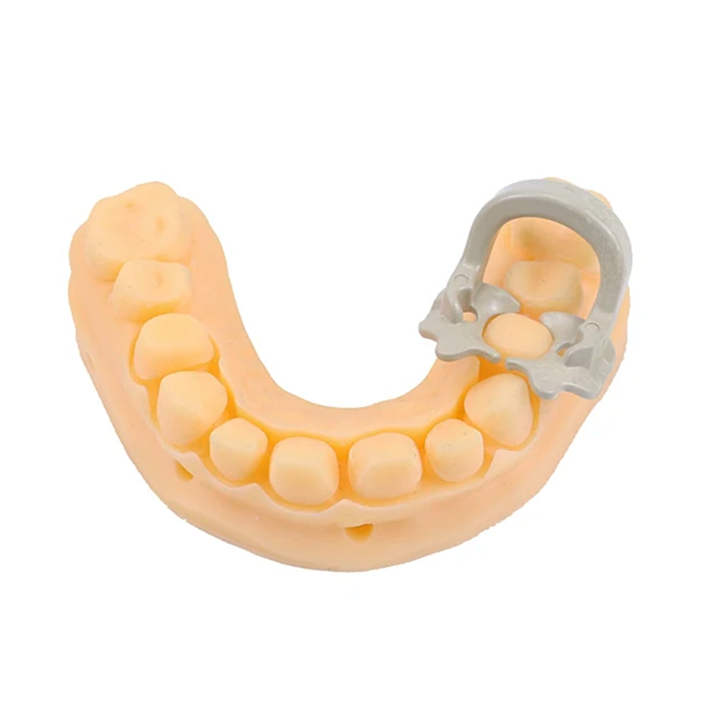 4 stks/doos Tandheelkundige Rubber Dam Klemmen Barrière Clips Hars Clip Autoclaveerbaar 134 ° C Groot/Klein Tandheelkundig Materiaal Tandarts Gereedschap