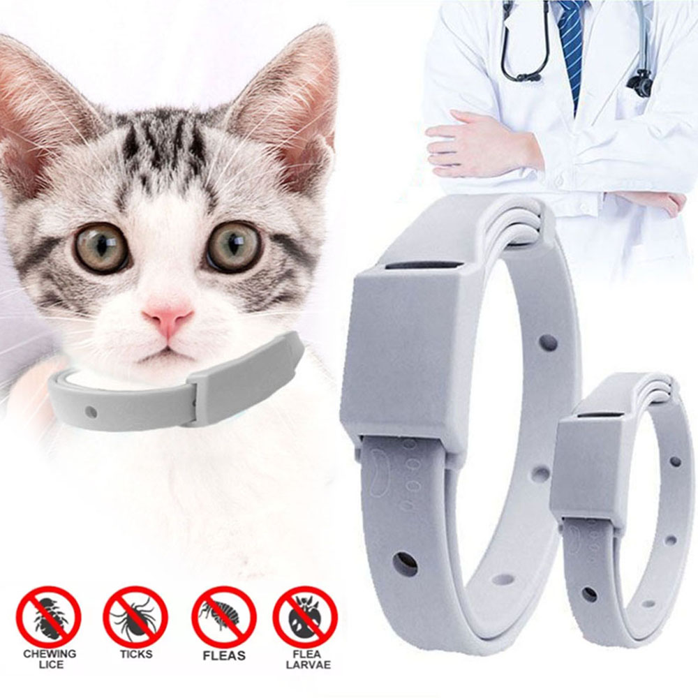 Collar antipulgas para gato, perro pequeño, protección antiparasitario de 8 meses, Collar ajustable para cachorros y gatitos, accesorios para mascotas separables