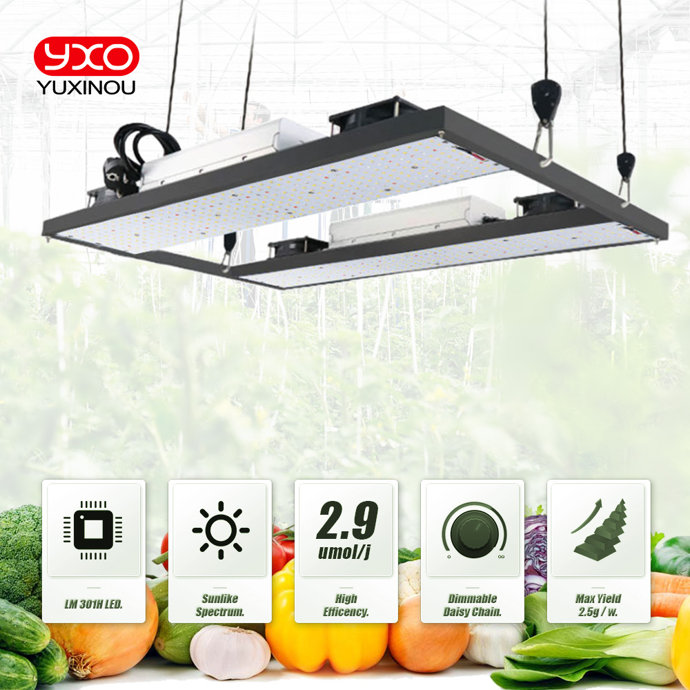 Samsung LM301h LED Grow Phytolamp Vollspektrum-LED-Wachstumslichter 240 W 480 W 720 W Wachstumslicht für Gemüseblumensämlinge im Innenbereich