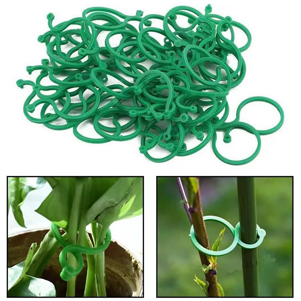50/100PCS พืชสวน 8 รูป-แปดหัวเข็มขัดโรงงานพลาสติกผูกคงที่สาย Tie Multi-Functional FIXED CLAMP รอกแหวน