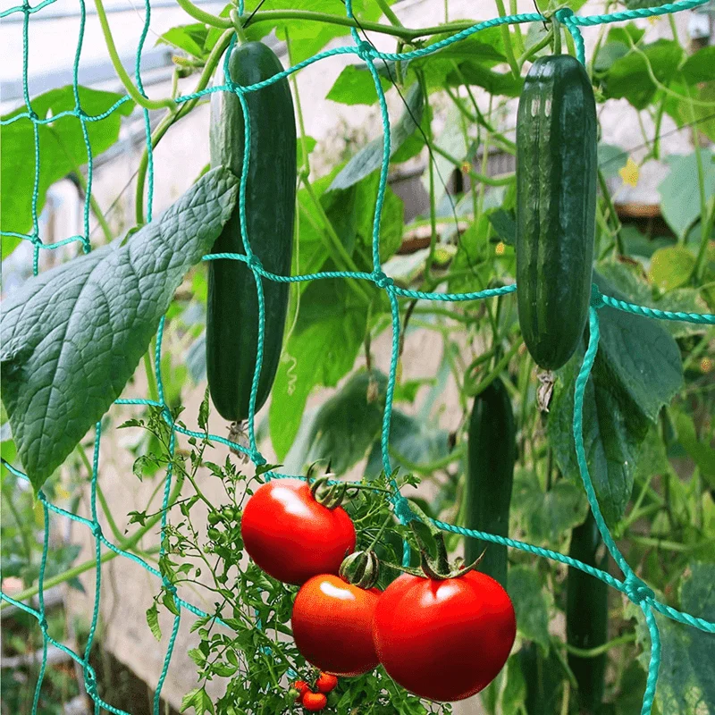 Grünes Anti-Vogel-Netz Teich Pool Schutz netz Mesh Garten Pflanze Obst Gemüse Blumen fallen Netz schützen Schädlings bekämpfung