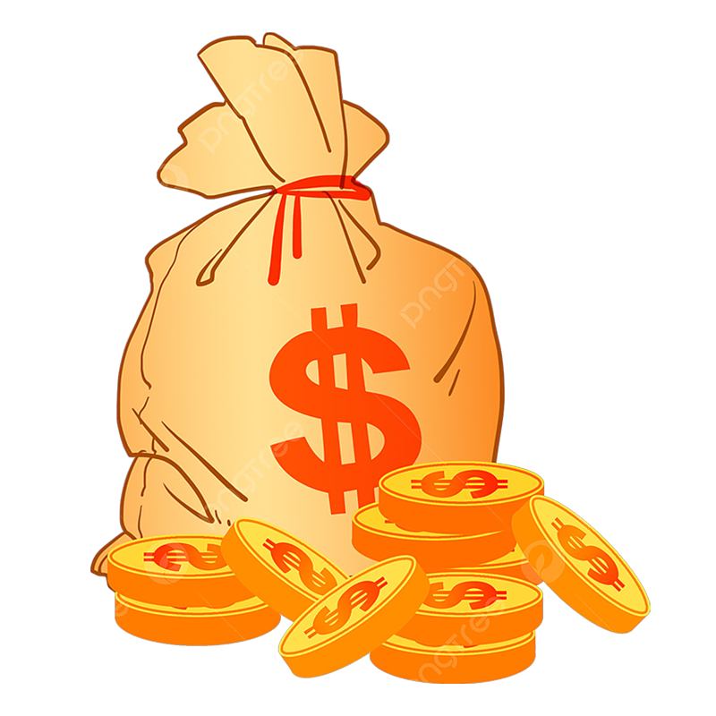 Lien de paiement de frais de conception de frais personnalisés supplémentaires