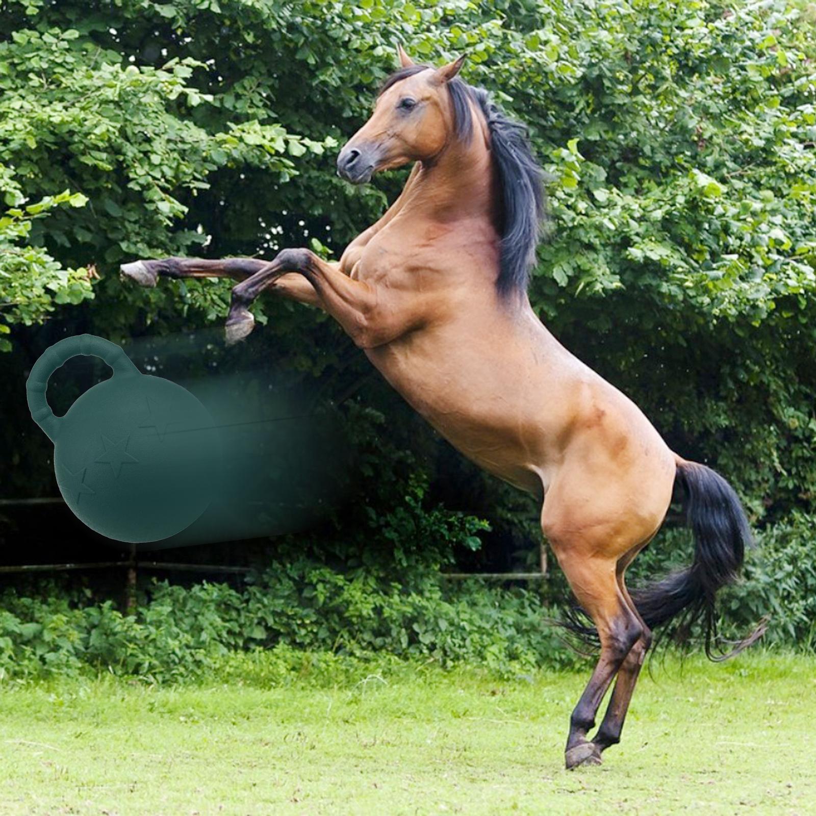 25cm Horse Play Game Ball With Handle Chew Playing Toy