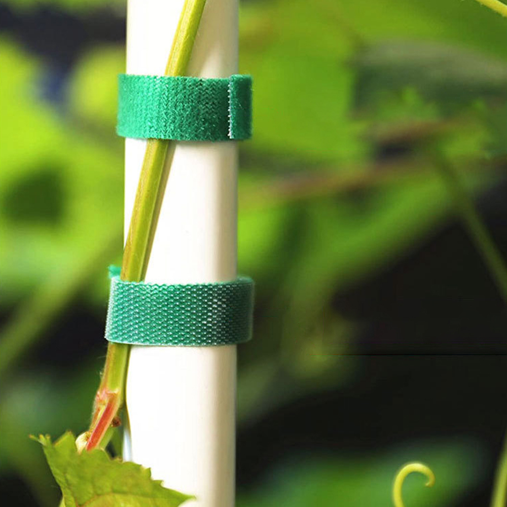 5M/10M Rücken an Rücken Klettverschluss Pflanzenband Klettverschlussband Nylon Selbstklebender Haken Haar Gleiche Datenkabelbinder