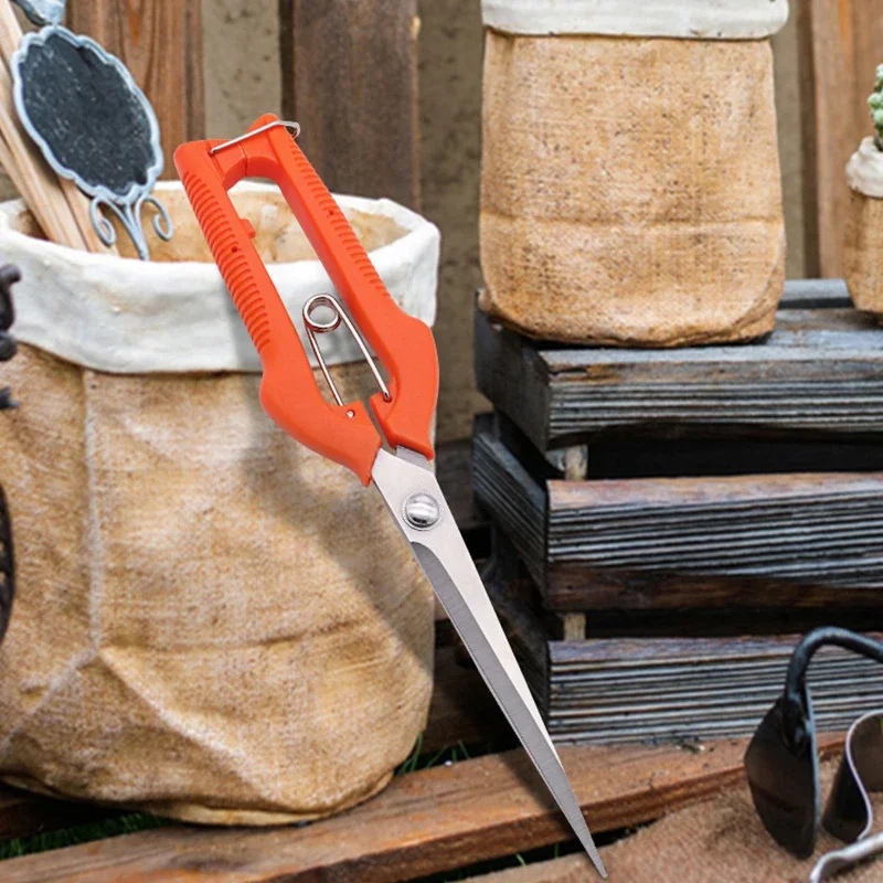 องุ่นกรรไกรกรรไกรตัดแต่งกิ่งสวนเครื่องมือผัก Patch Bonsai Professional Joinery สแตนเลสหยิบผลไม้ล็อค