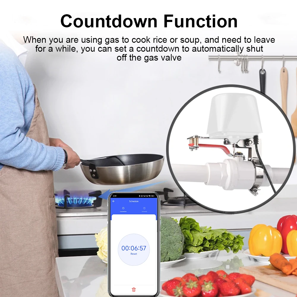 Tuya WiFi Waterklep Gasafsluiting Kogelkraan Timer Tuin Slimme Kraan Controller Ondersteuning Alexa Google Assistent SmartLife