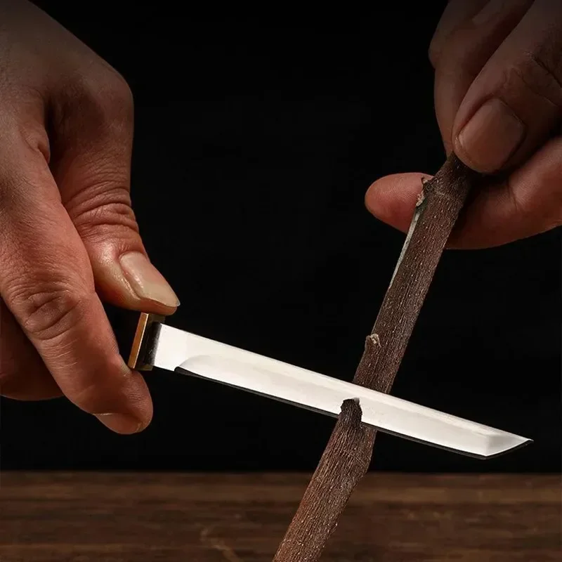 Coltello da cucina ad alta durezza Coltello da frutta tascabile portatile affilato Coltello per disossare con fodero per cucinare