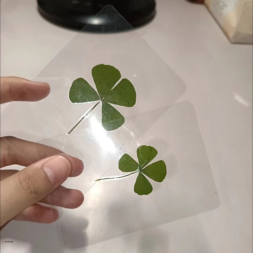 5PCS/10pcs Lucky Four-Leaf Clover Natural Original Grass Transparent Card Bookmark Wishing Simple Style Transparent Card