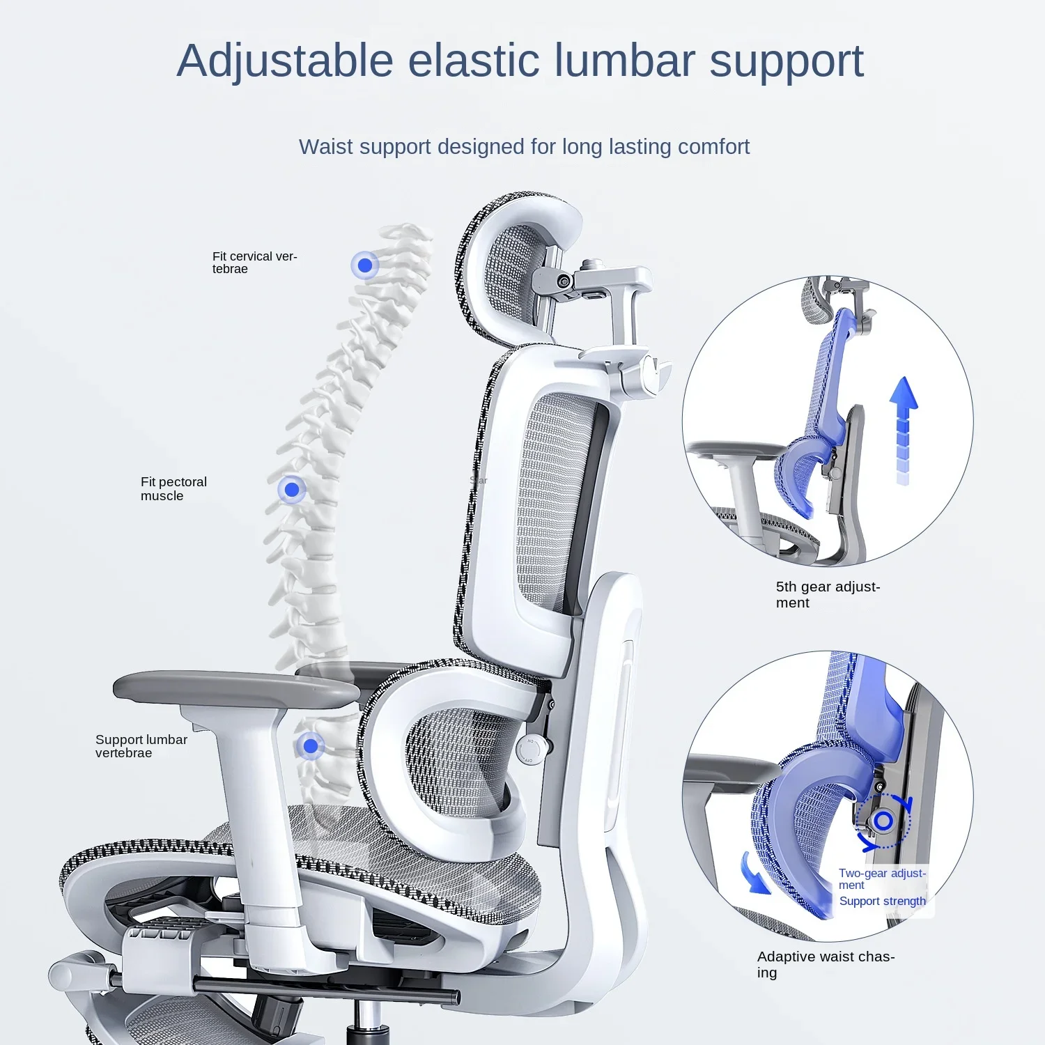Ergonomic Chair with Waist Support, Tilted and Breathable, Perfect for Computer Desk and Study Room, Suitable for Long Sitting
