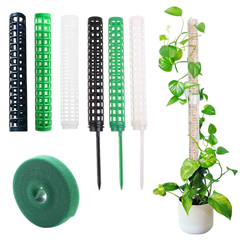 Vật Có Hoa Leo Khung Vật Có Tregging Hỗ Trợ Dán Dẻo Rêu Cực Trong Nhà Vật Có Đế Nồi Xanh Thì Là Dây Leo Vườn Phụ Kiện