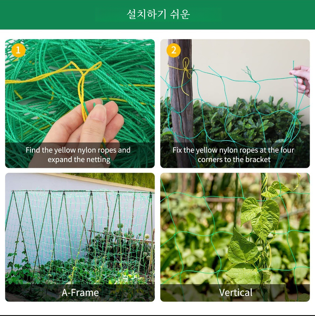 식물 격자 Pergolas, 헤비 듀티 폴리에스테르 성장 그물, 식물, 야채 등반을 위한 사각형 메쉬가 있는 정원 격자 그물,