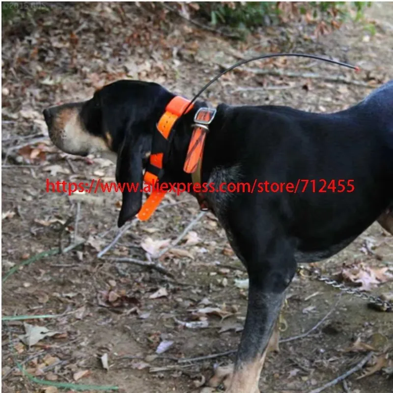 New Antenna GPS Dog Tracking Collar for Garmin T5 TT10 TT15 T5Mini Garmin Astro 320 220 DC30 DC40 DC50 T5 40 Collar 55cm