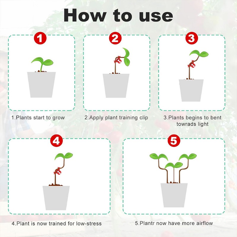 Abrazadera para plantas, dispositivo de doblado, ramas de vid y flores, Clips de entrenamiento para tallo de plantas, doblador de crecimiento de plantas, abrazaderas de soporte de Control, 100/10 Uds.