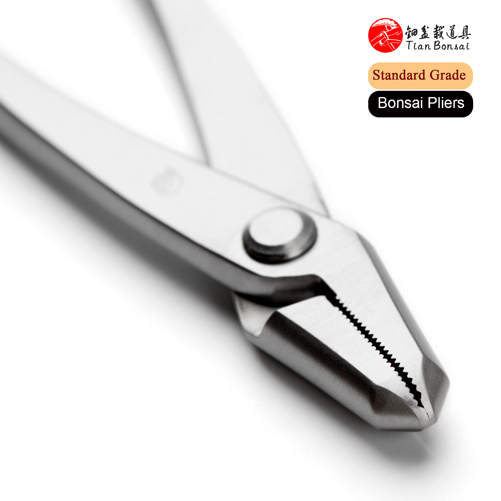 Standard Grade 205 mm Bonsai Pliers 3Cr13 Alloy Steel Jin Pliers Bonsai Tools