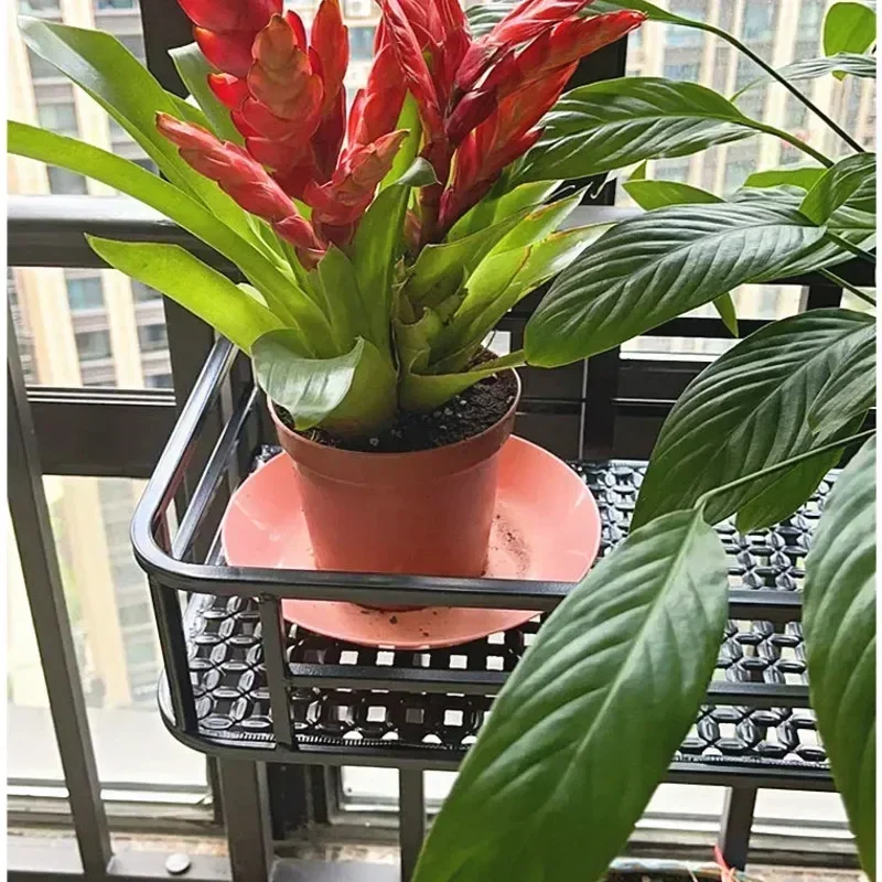 Support de fleurs de Style européen, organisateur de Rail de balcon d'art en fer extensible, support de Pot suspendu décoratif élégant, espace vert urbain