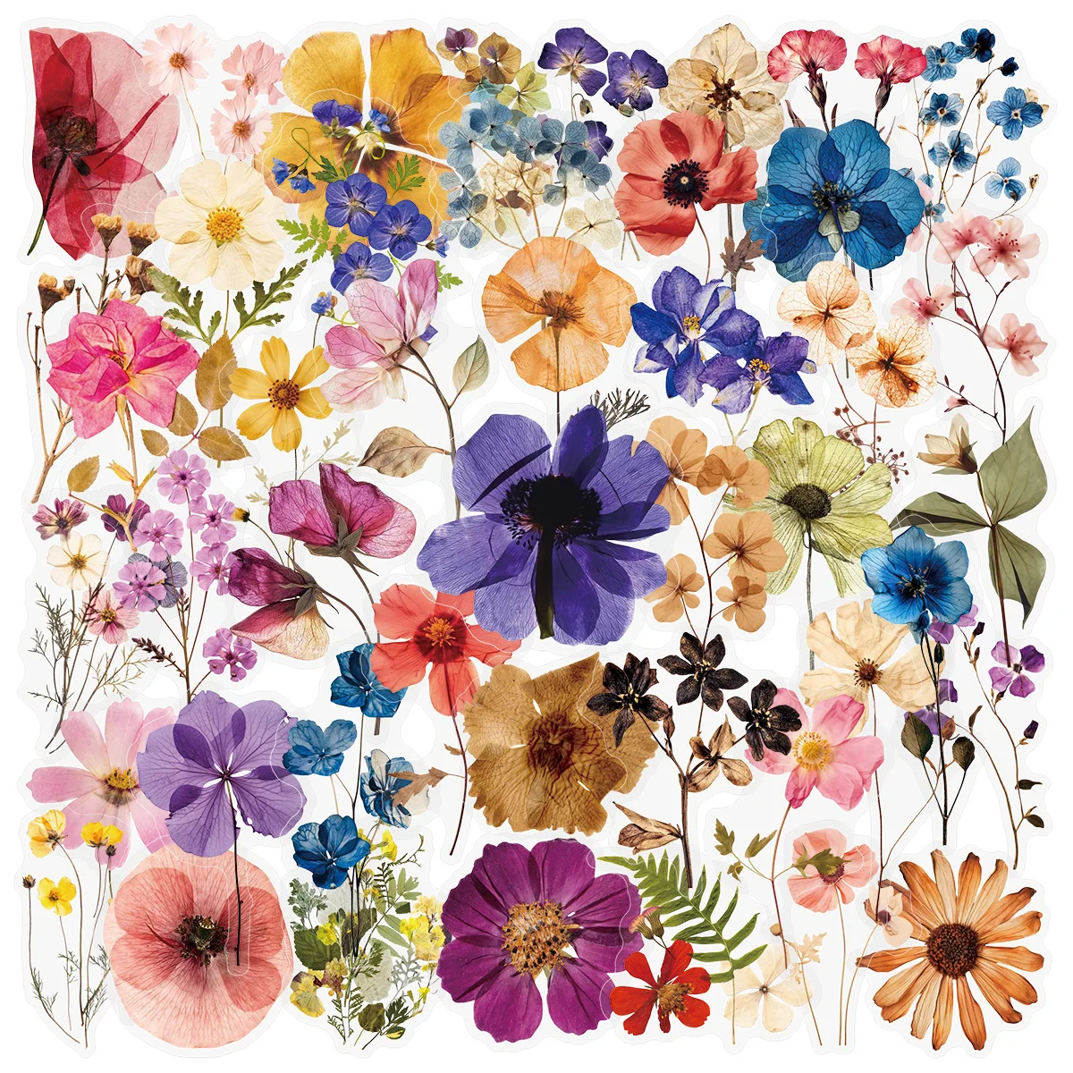50/200PCS Transparente PET Blume Pflanzen Material Aufkleber Handbücher Tablets Telefon Wasser Tassen Dekor Stationäre Notebook Aufkleber