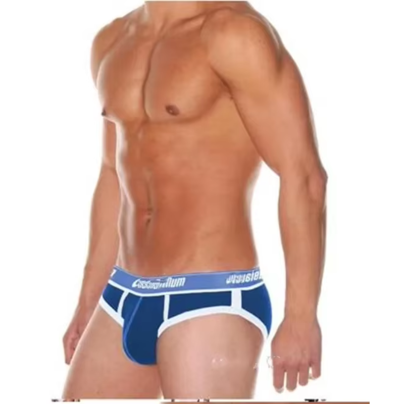 Nuevos calzoncillos cómodos y transpirables, calzoncillos deportivos tridimensionales de cintura baja de la serie WJ para hombre