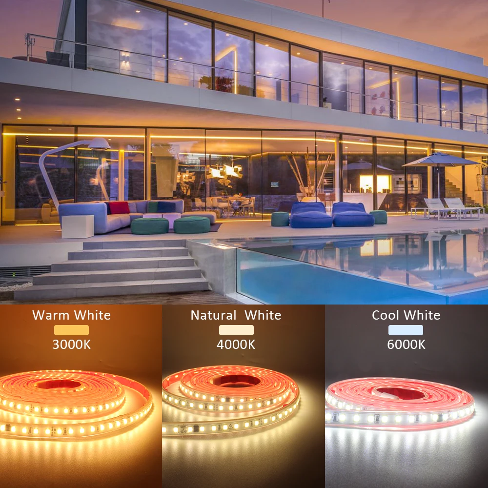 220V IP68 Impermeabile 120LED/m LED Strip Light SMD 2835 Nastro flessibile Lampada ON OFF Interruttore Spina UE per illuminazione esterna