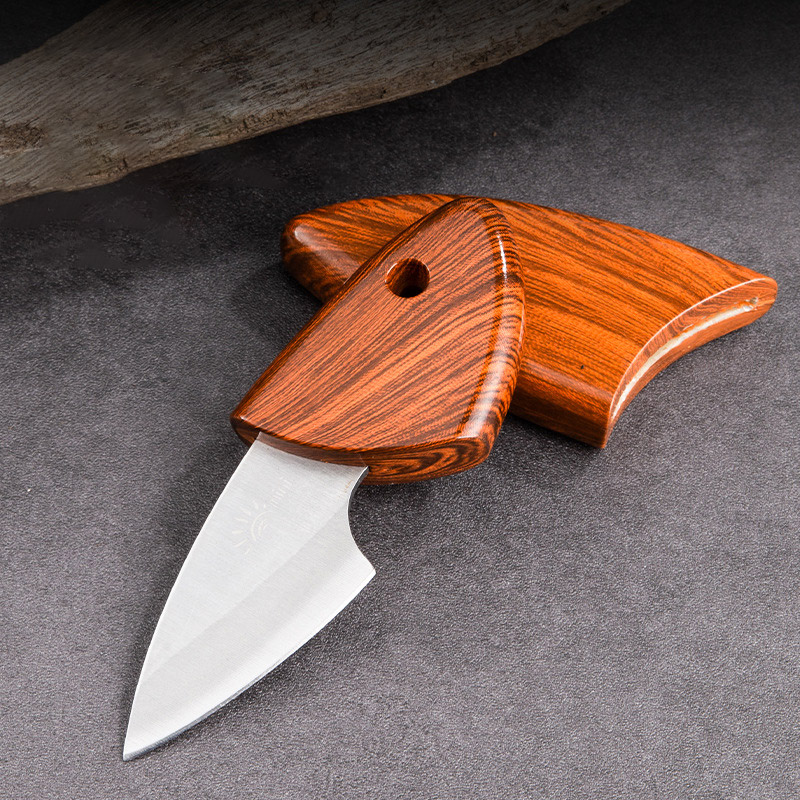 Mini cuchillo de fruta para desmontaje al aire libre, cuchillo portátil para delfines pequeños y gordos, cuchillo exprés para acampar, afilado de alta dureza