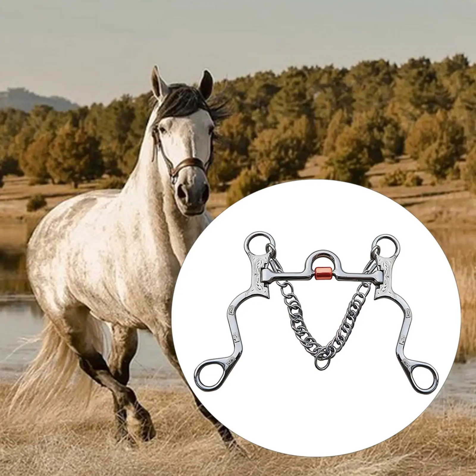 Punta per cavallo in acciaio inossidabile Bocca in rame per allenamento per cavalli Lunghezza bocca Argento Lunghezza bocca 130 mm