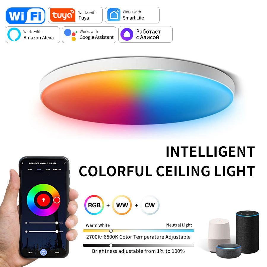 AC85-265V Tuya WiFi Bluetooth Smart Ceiling Light  Smart Life APP Alexa Google Home Voice Control 24W Round LED RGB WW CW Lamp