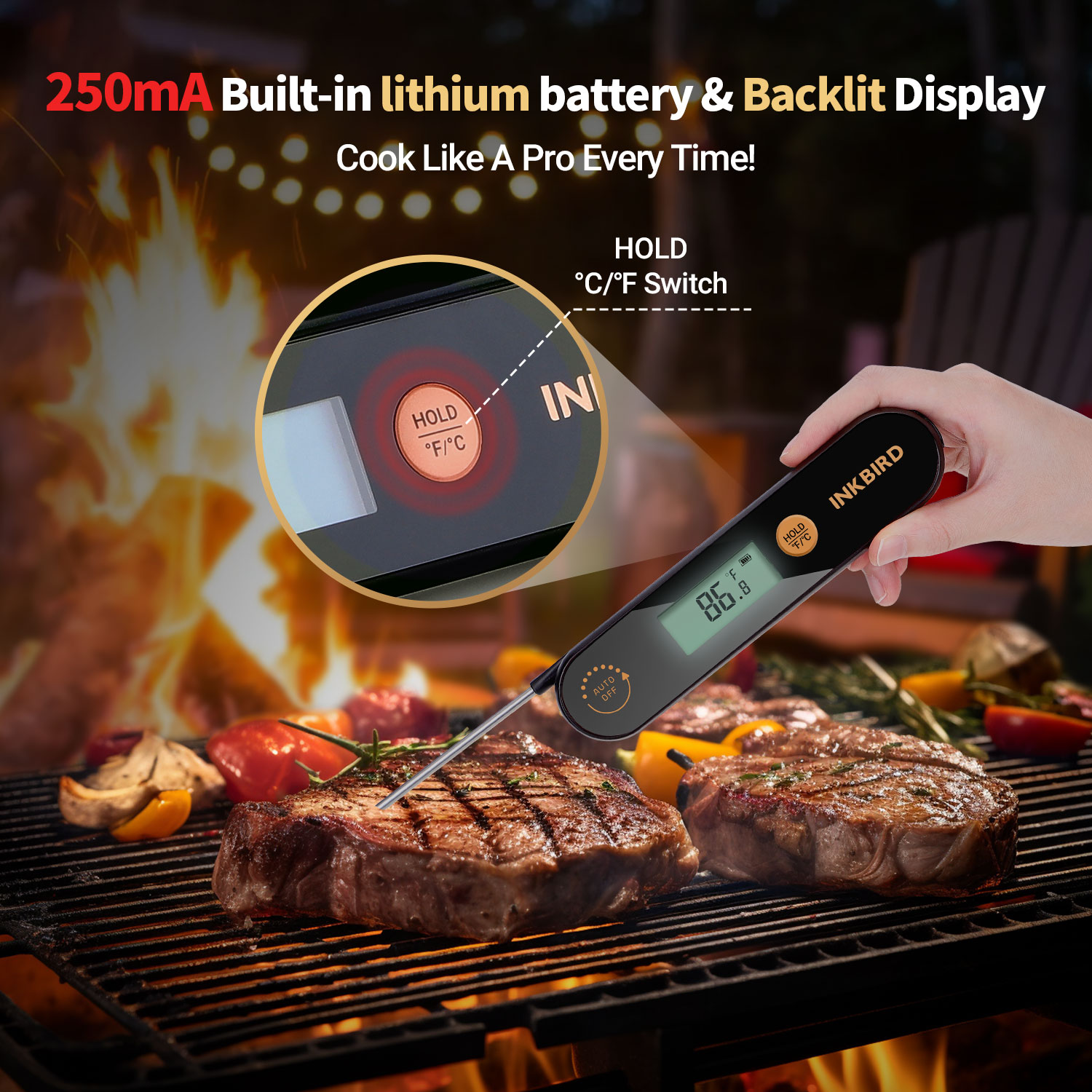 INKBIRD-termómetro Digital IHT-1X para carne, dispositivo con sondas plegables, resistente al agua IPX5, recargable, para barbacoa y freír profundamente